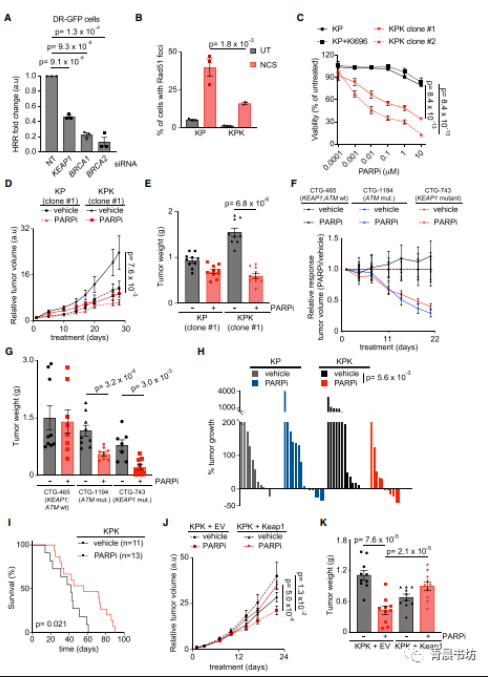 Neocarzinostatin抗肿瘤抗生素