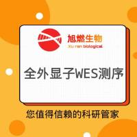 全外显子测序WES