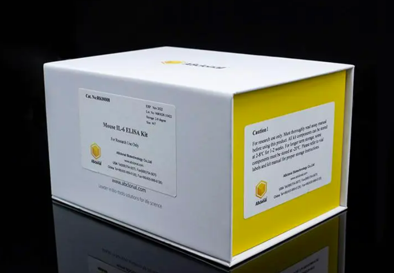 VDR Rabbit Polyclonal Antibody