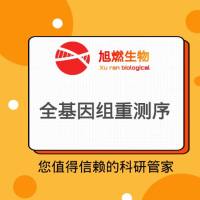 全基因组重测序 WGS