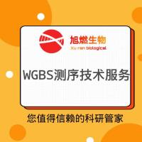 WGBS甲基化测序