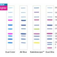 伯乐Bio-Rad 1610393 Precision Plus Protein™ 预染标准品 