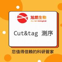 CHIP-seq 染色质免疫沉淀测序