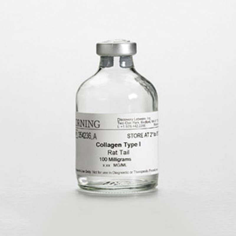 Corning康宁356236鼠尾胶原蛋白I型 1g 