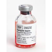 Corning康宁356230 Matrigel生长因子减量(GFR) 基底膜基质,不含LDEV,5mL