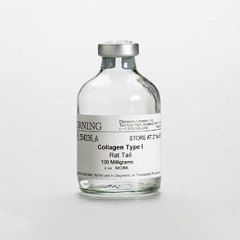 Corning康宁356236鼠尾胶原蛋白I型 1g 