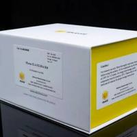 Clusterin alpha chain Rabbit Polyclonal Antibody