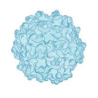 AAV全链条解决方案