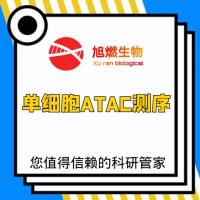 单细胞ATAC测序