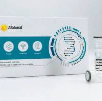 FNDC4 Rabbit Polyclonal Antibody