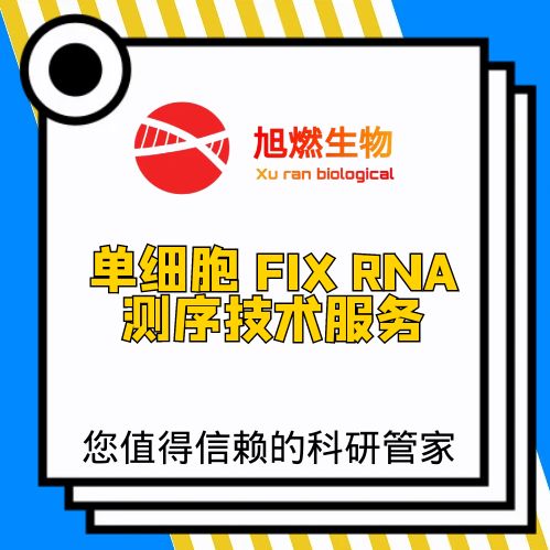 单细胞Fixed RNA测序
