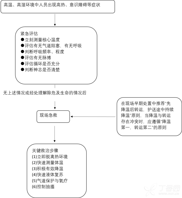 热射病急救.png