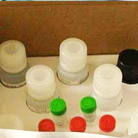 (MS 实验) 人试剂盒