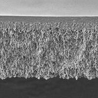 密理博Millipore PLTK04310 Ultracel PLTK 圆片型超滤膜,再生纤维素,30 kDa NMWL,44.5 mm