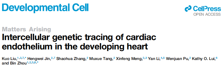 Dev Cell | 南模生物助力揭示心脏内皮细胞发育谱系