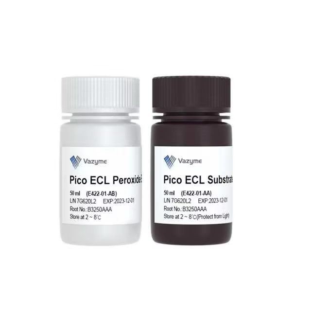 SuperPico ECL Chemiluminescence Kit（E422）