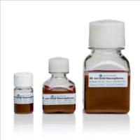 NanoComposix AUXR80-5M BioReady Gold Nanospheres - Carboxyl - 80 nm, 20 OD in water, 5 mL