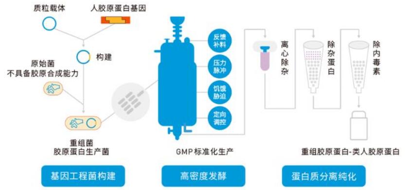 Recombinant Rat IL-1RA