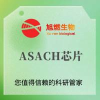 Infinium ASA-24 v1.0 BeadChip芯片