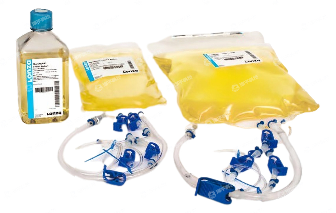 TheraPEAK T-VIVO GMP无血清培养基 北京泽平