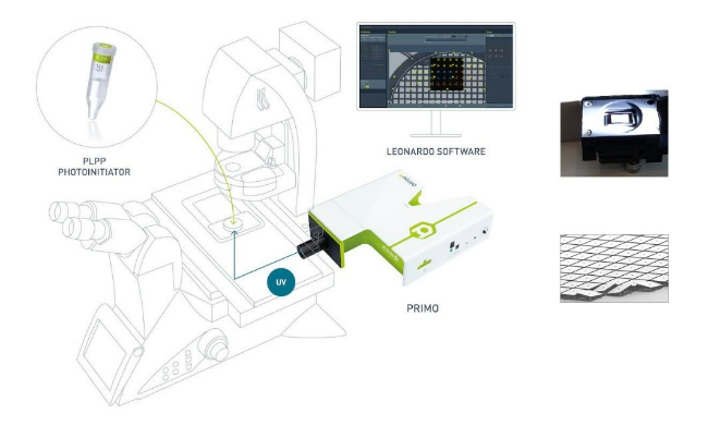 快速类器官组织微环境制备及检测系统