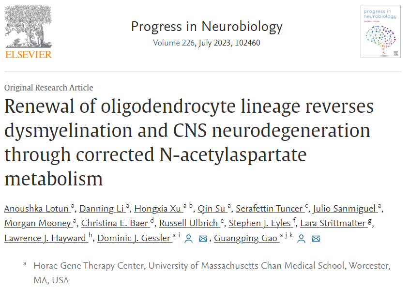 RNAScope技术借助TG平台，研究神经组织完整单细胞形态及分化影响