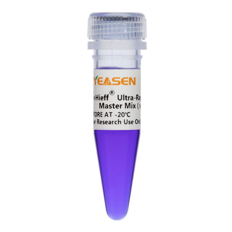 2×Hieff® Ultra-Rapid HotStart PCR Master Mix (with Dye)