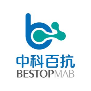 直扩PCR试剂（带染料）