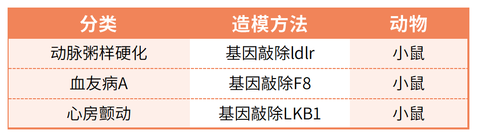 心血管疾病模型构建及检测服务