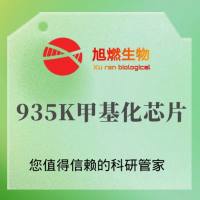 935K甲基化芯片