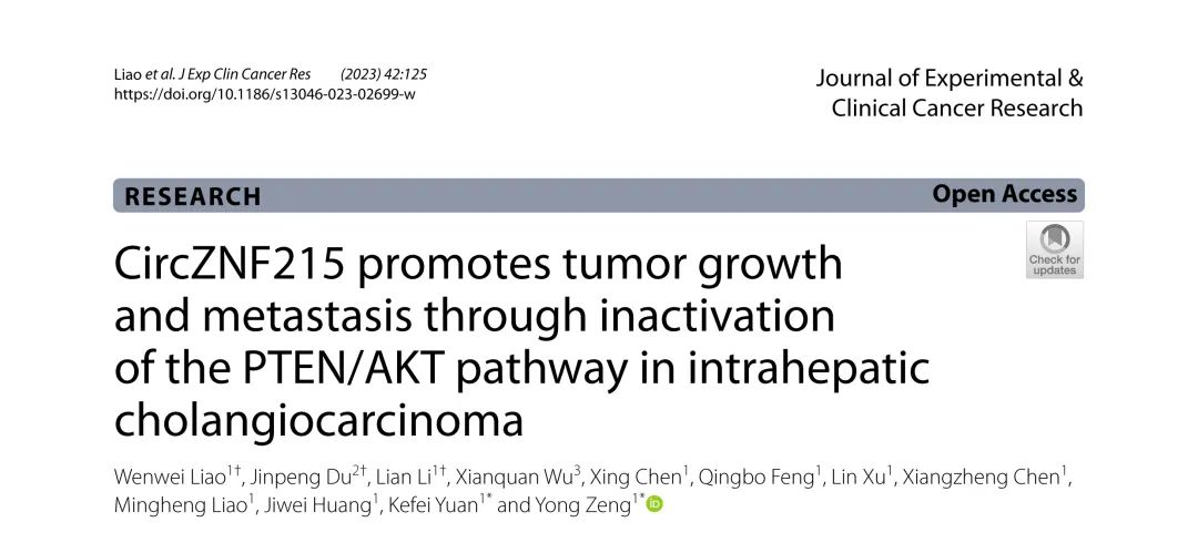 J Exp Clin Cancer Res丨circZNF215通过调节PTEN/AKT通路促进肝内胆管癌的进展和转移