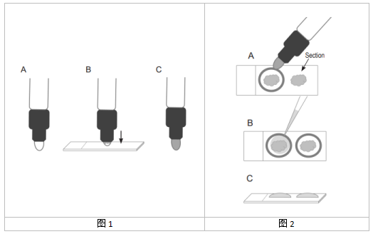 艾美捷免疫组化笔 SuperHT PAP Pen使用方法介绍