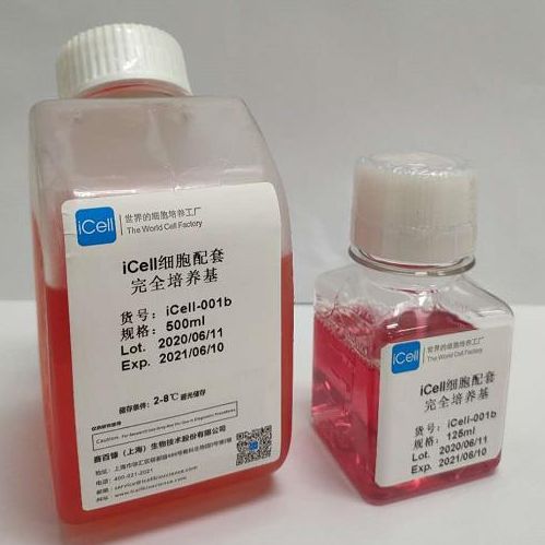 DU4475 细胞专用培养基/镜像绮点（Cellverse）