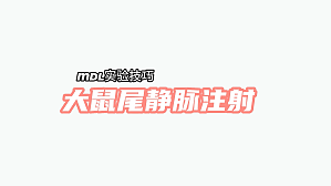 丁香实验推荐阅读