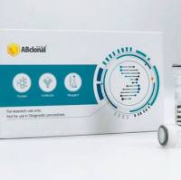 KIAA0391 Rabbit Polyclonal Antibody