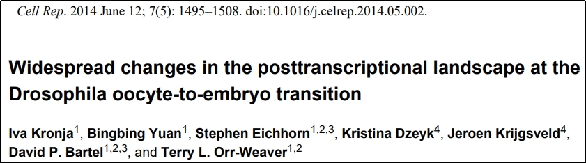 Cell Rep. | 翻译组+蛋白组:果蝇卵母细胞到胚胎转变过程中的转录后变化