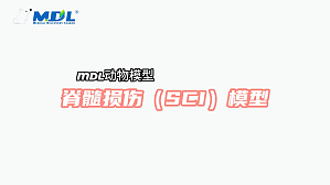 丁香实验推荐阅读