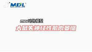 丁香实验推荐阅读