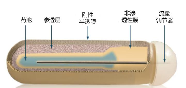 Alzet植入式胶囊渗透压泵  Alzet缓释给药胶囊