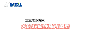 丁香实验推荐阅读
