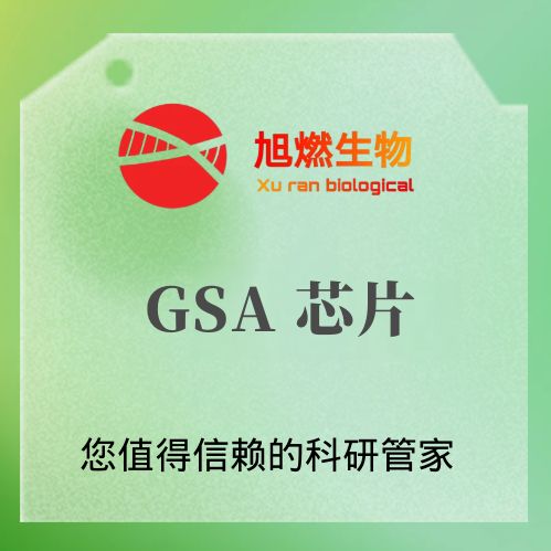Infinium GSA-24 v1.0 BeadChip芯片