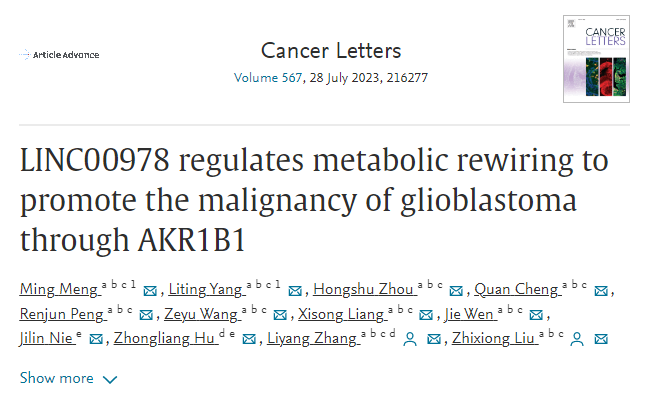 客户文章丨LINC00978通过AKR1B1调节代谢重新布线以促进胶质母细胞瘤的恶性
