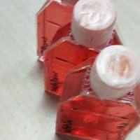 HET-1A 人食管上皮细胞、HET-1A细胞、HET-1A、HET1A细胞/HET1A/镜像绮点