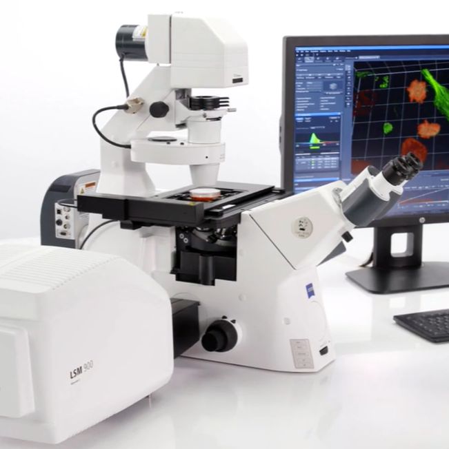 德国Zeiss LSM 900高精度共聚焦显微镜