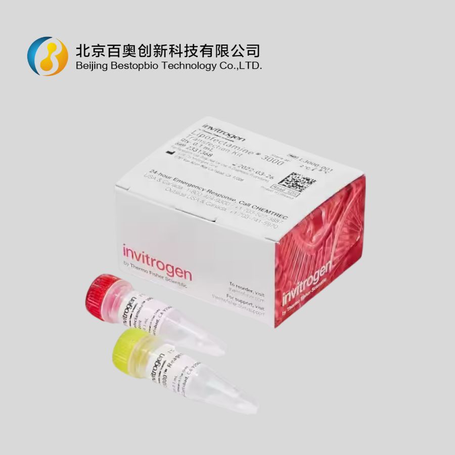 Lipofectamine™ 2000 siRNA /DNA转染试剂