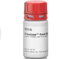 崩溃酶，CAS:85186-71-6
