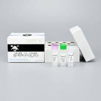 布鲁氏菌属、牛种、羊种和猪种菌株四重核酸检测试剂盒(探针法)