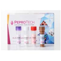 PeproTech 900-TM255 Human/Murine/Rat BMP-2 Mini TMB ELISA Development Kit