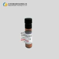 polysciences转染试剂23966-100