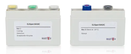 艾美捷小鼠IgE ELISpot试剂盒，检测两种IgE同种异型